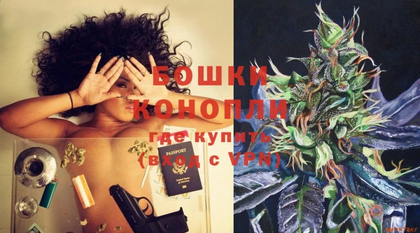 PSILOCYBIN Армянск