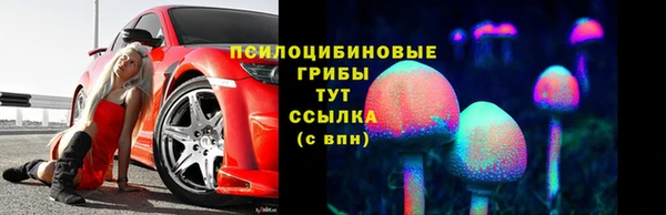 дурь Арсеньев