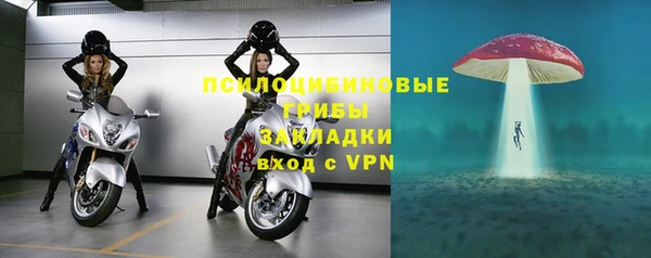 дурь Арсеньев