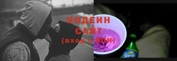 дурь Арсеньев