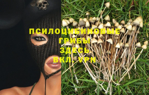 дурь Арсеньев