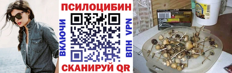 Галлюциногенные грибы Cubensis  Рыльск 